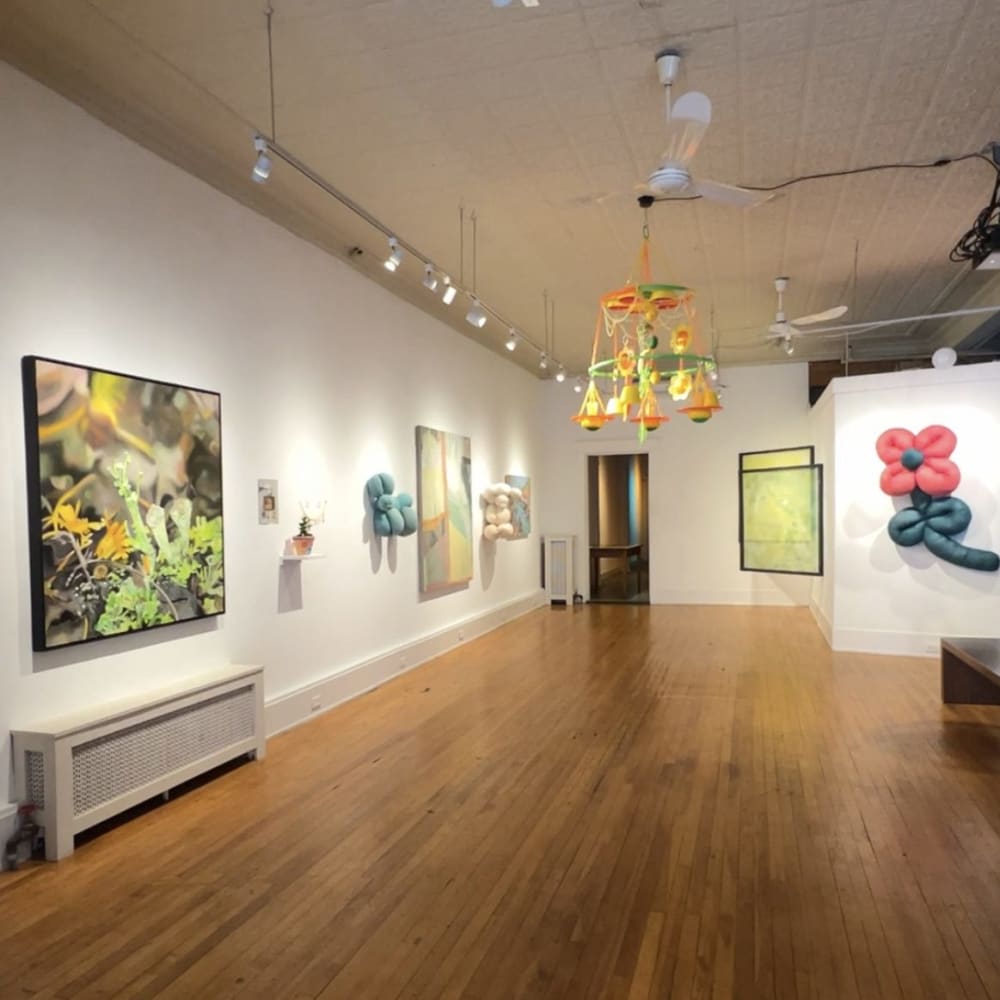 Dennis Tourbin Members Gallery at NAC in St. Catharines