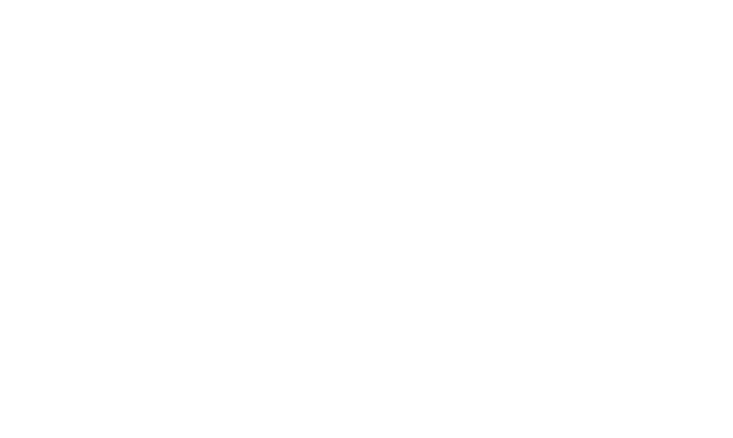 Mighty Niagara Film Fest Logo white